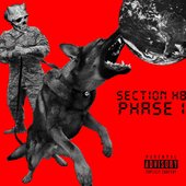 SECTION H8 PHASE 1