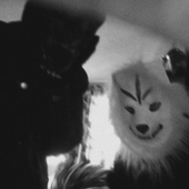 wolves era
