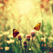 Avatar for purplesky_X3