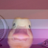 Avatar di aviarator