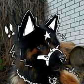Avatar for Wolfiechu