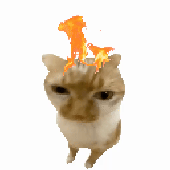 Avatar for Lucimatsu
