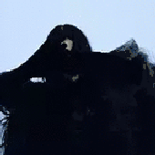 Avatar di Refruen