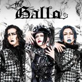 152373-the-gallo-group-photo.jpg