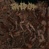 Fields of Blood