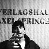 Springer enteignen