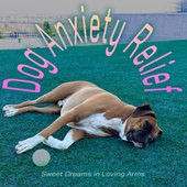 Dog Anxiety Relief - Sweet Dreams in Loving Arms