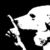 Avatar for chloethanol
