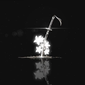 Avatar for Taiga305