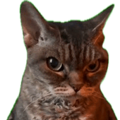 Rayta123 için avatar