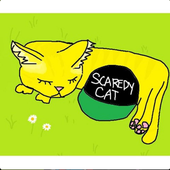 scaredy cat
