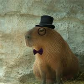 Avatar for sir_capybara