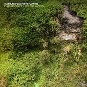 The Secret Life of Moss
