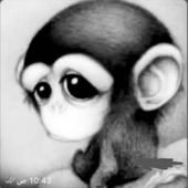 Avatar for eevabil
