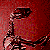 Avatar for mr.slow