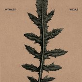 Wiwaty