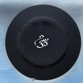 dinner plate