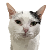Avatar di Caliburrs
