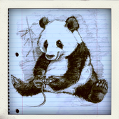 Avatar for yangxiaobear