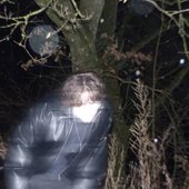 Hallucinogens