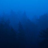 IMG_5731.jpeg