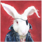 Dendibar için avatar