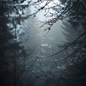 Under the Silver Canopy