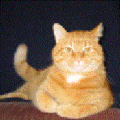 Avatar for btlzu2