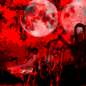 Avatar di David_Alfonzo