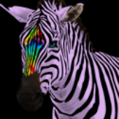 Avatar de HiPcavallo