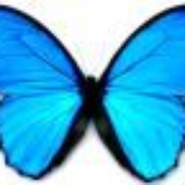 Avatar for thisliminallife