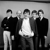 The Hollies 🍏