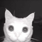 Avatar di xKillEvilx