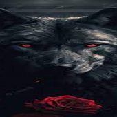 Avatar for ruktk