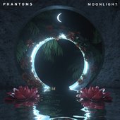 moonlight