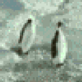Avatar for Freloman