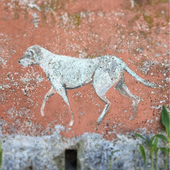 Avatar di camponesa