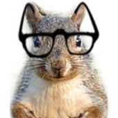 Avatar for moeeeku