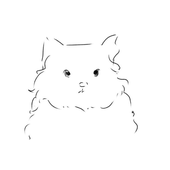 Avatar for matbrwzd