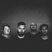 imageedit_368_8449075660.gif