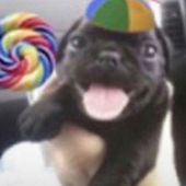 Avatar for Ozsaia