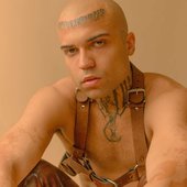 Diego Palomino
