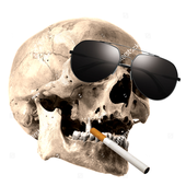 Avatar for Rotaboc