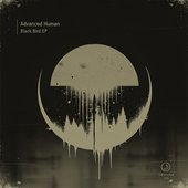 Black Bird EP