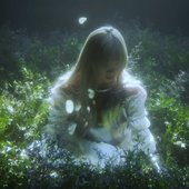 wisp 2025