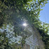 08; Nature Equinox
