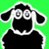 Avatar for sheepcidus