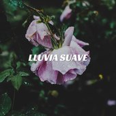 Lluvia suave