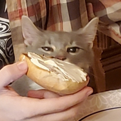 Avatar de ninmori