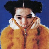 Björk 010 (2).jpg
